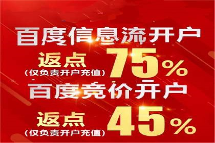揭秘百度包年竞价优势：成功案例深度解析
